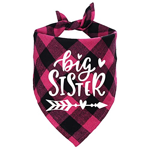 Stmk Big Sister - Bandana Para Perro A Cuadros, Anuncio De E