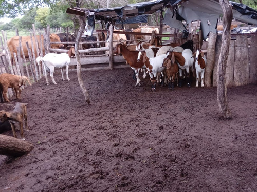 Campo Sobre Ruta