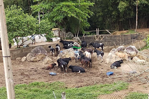 Imagem 21 de 30 de Sítio Com 7 Dorms, Area Rural, Pedro De Toledo - R$ 2.85 Mi, Cod: 596 - V596