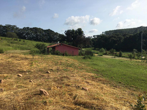 Imagem 3 de 13 de Imóvel Em São Thomé Das Letras