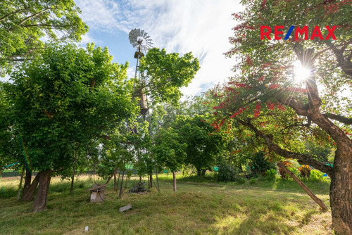 Imagen 21 de 30 de Lote 600 M2 Venta Moreno Bo. Semicerrado