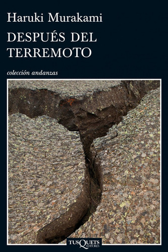 Después Del Terremoto (libro Original)