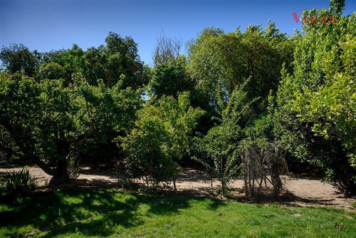 Imagen 24 de 30 de Parcela En Venta En San Bernardo
