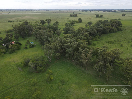 Imagen 4 de 20 de Campo En Venta 120 Has En Mercedes - Mixto Con Casco