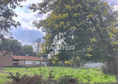 Sitio En Arriendo En Curicó Camino A Zapallar (40091)