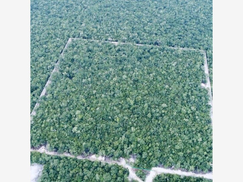 Imagen 1 de 12 de Terreno En Venta Bak Tulum, Tulum