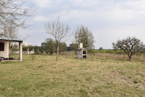 Imagen 14 de 16 de Campo De 49 Has. En La Criolla