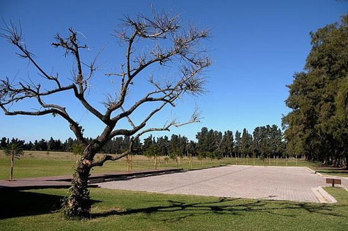 Imagen 11 de 12 de Importante Terreno En Fighiera