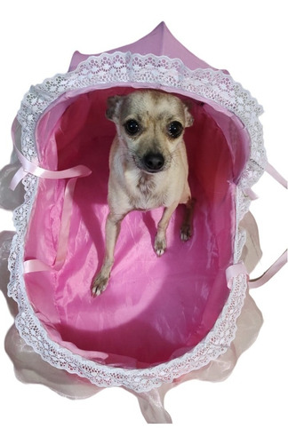 Cama Para Perro Tipo Moises, Elegante Comoda Colores 1 Pieza