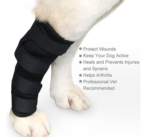 Soporte Para Piernas Para Perros, Codera Y Rodillera Para Ma