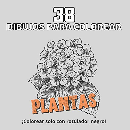 38 Dibujos Para Colorear Plantas: ¡colorear Solo Con Rotulad