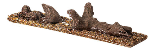Accesorios De Acuarios De Decoración De Paisajismo Desierto