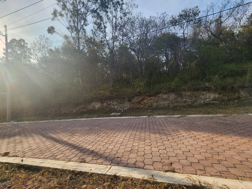 Venta Lote Gladiola 31 Muy Cerca De La Entrada Y En Nueva Zona De Fracc Rancho San Diego Ixtapan De La Sal Edomex Con Todos Los Servicios Y Proyecto Incluído