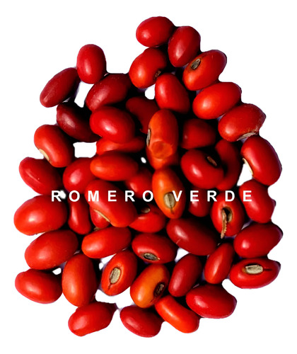 Semillas De Colorín Erythrina Coralloides 1 Kilo