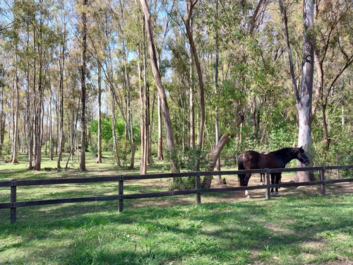Terreno Con Importante Mejoras En Chacras Del Paraná - Zarate
