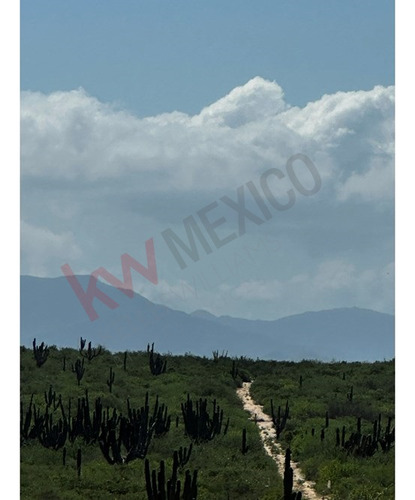 Terreno De Gran Inversión En Bahia Turquesa