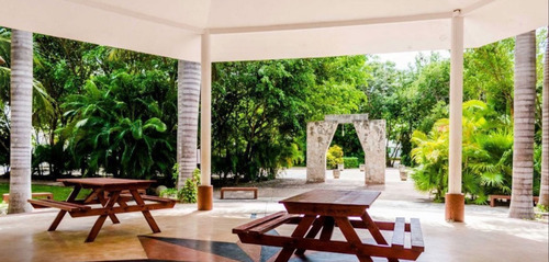 Venta De Casa En Fraccionamiento Arbolada Amueblada
