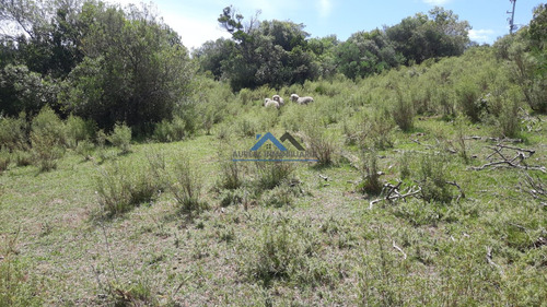 Venta Chacra 5ha Carape Maldonado