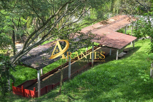 Imagem 24 de 30 de Sitio - St00010 - 34749985