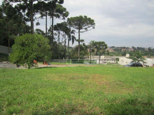 Imagem 7 de 18 de Terreno À Venda, 614 M² Por R$ 720.000,00 - Campo Comprido - Curitiba/pr - Te0194