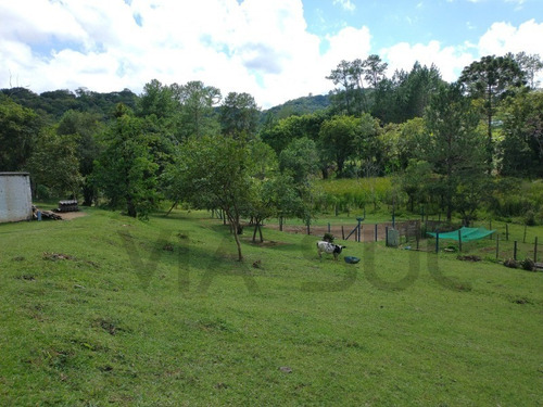 Imagem 22 de 30 de Sítio De 3,5 Alqueires, Excelente Localização! Com Área Aberta Para Criação Recreativa E Mata Nativa Para Trilha E Caminhada.. - 237 - 69821549