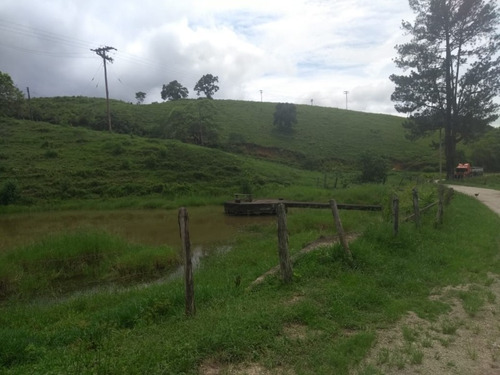 Imagem 28 de 30 de Fazenda - Fa00003 - 34856184
