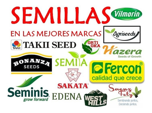 Semillas De Pepino Poinseth 76 X 100 Gr Bonanza