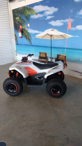 Quadriciclo Cforce Ev110 Eletrico