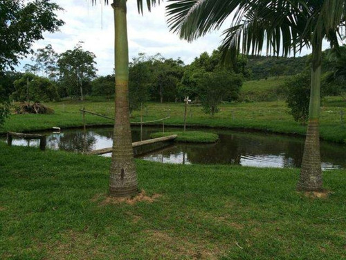 Excelente Chacara Em Camboríú. 100% Plana.lagos De Peixes - Dv019 - 3092046