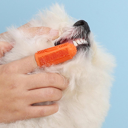 Cepillo De Dientes Para Perros Cepillo De Dientes Para Perro