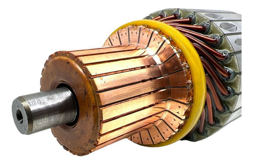 Induzido Motor De Partida M100r Cargo 12v Novo