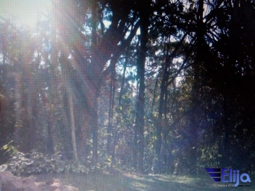 Imagem 5 de 6 de Terreno No Condomínio Colinas De São Fernando - Km 28 Raposo Tavares - Te1536