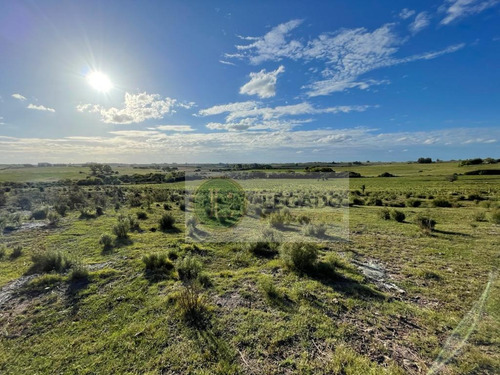 Campo En Venta De 53 Has. Con Vivienda Y Arroyo, Prox Minas