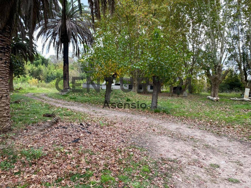 Imagen 10 de 11 de Lote Para Desarrollo