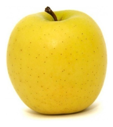 Manzana Golden 40 Cm Aprox Injerto Frutales Con Semilla