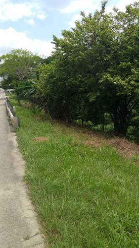 Venta Terreno 2000 M² Col. Tierra Blanca Tuxpan Veracruz.