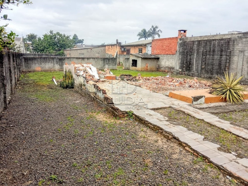 Imagem 5 de 10 de Terreno - Sao Sebastiao - Ref: 31829 - V-31826