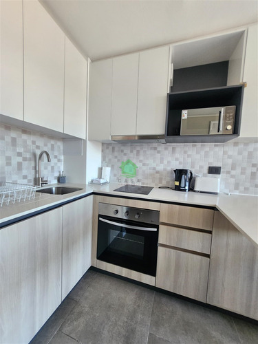 Departamento En Arriendo De 1 Dorm. En Valdivia