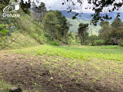 Imagen 9 de 12 de Finca En Venta Mérida. El Pedregal, Tabay