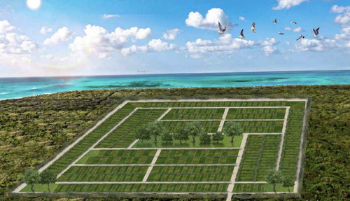 Lotes Playa Gaviotas En Venta, Ubicados En Chabihau , Puerto De San Crisanto.