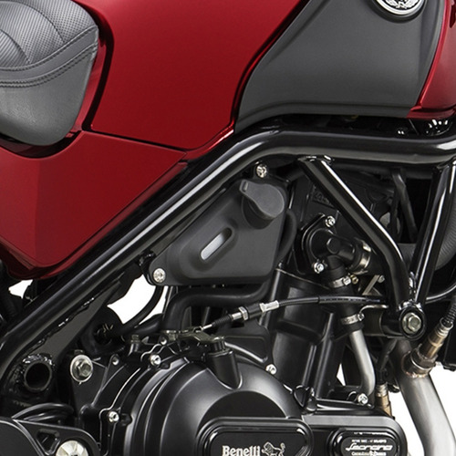 Imagen 5 de 10 de Benelli Leoncino 500 2022