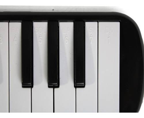 Imagen 5 de 7 de Flauta Melodica Con Funda 32 Notas A Piano Ramallo Negra