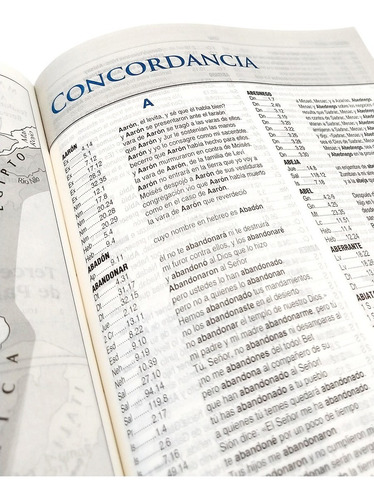 Biblia De Estudio Eco Cuero Gris Reina Valera Contemporánea
