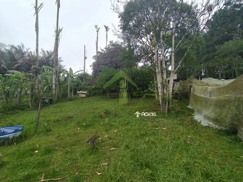 Imagem 3 de 27 de Chácara Com 4 Dorms, Recanto Do Tesouro, Embu-guaçu - R$ 220 Mil, Cod: 2328 - V2328