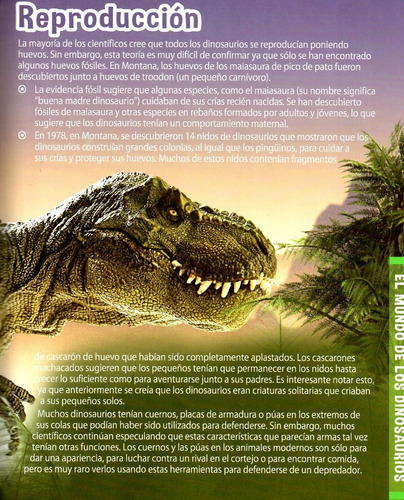 Mi Primera Enciclopedia De Dinosaurios | Meses sin intereses