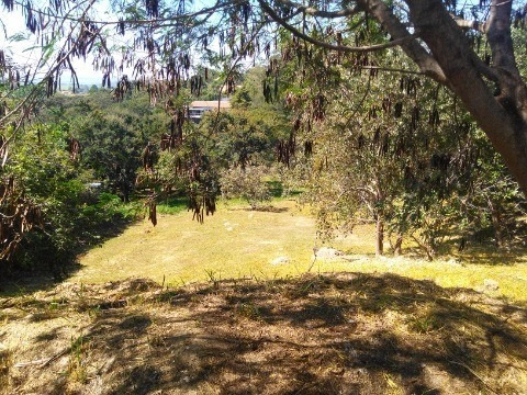 Imagem 10 de 11 de Venda Terreno Condominio Colinas Ermitage Sousas Campinas - Te01442 - 32381139