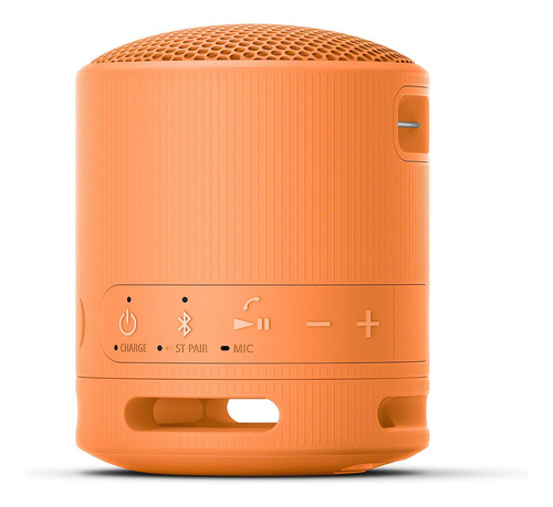 Altavoz Inalambrico Sony Xb100, Con Bluetooth, Ip67, Nara...