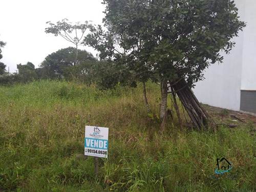 Imagem 1 de 1 de Terreno - Te00036 - 70084874