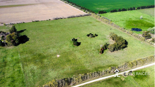Alquiler De Campo De 10 Has. En Los Cardales