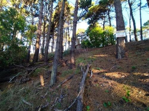 Imagen 5 de 7 de Terreno En Venta En Mar De Las Pampas